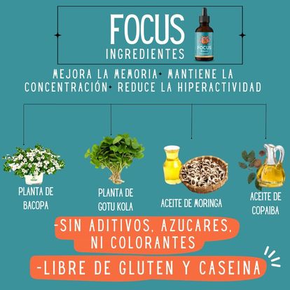 🧠 Focus – Herbal Drops for Attention &amp; Mental Clarity 30ml