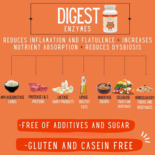 NEW 🌿 Digest Plus – Advanced Digestive Support  (90 capsules) 🌿