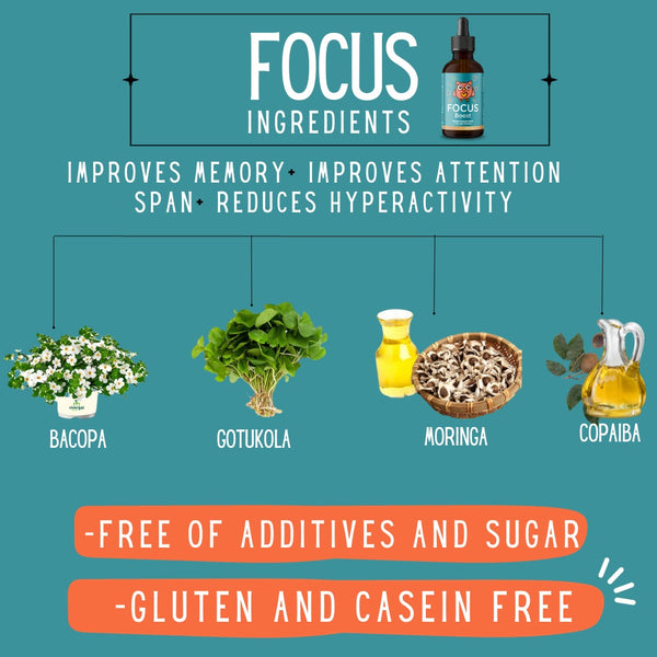 🧠 Focus – Herbal Drops for Attention &amp; Mental Clarity 30ml